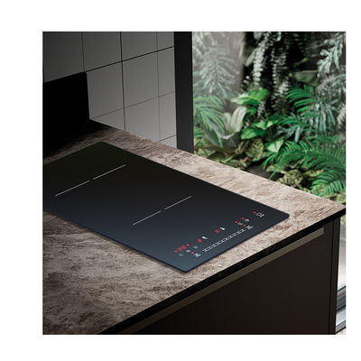 Two Stainless Steel Induction Cooker With Timer , Built In Induction Cooker 220V
